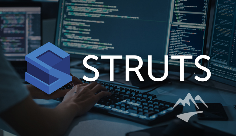 Apache Struts 2 Namespace (CVE-2018-11776) Vulnerability