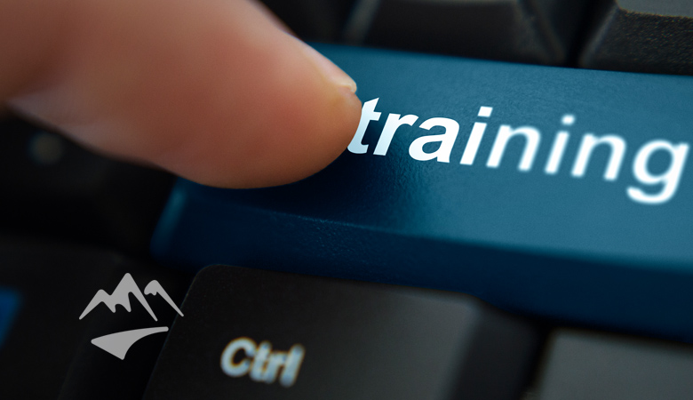 Just-In-Time vs Proactive Secure Code Training: Which One Should You Choose? 