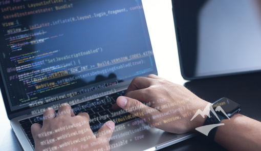 Developer Evaluation