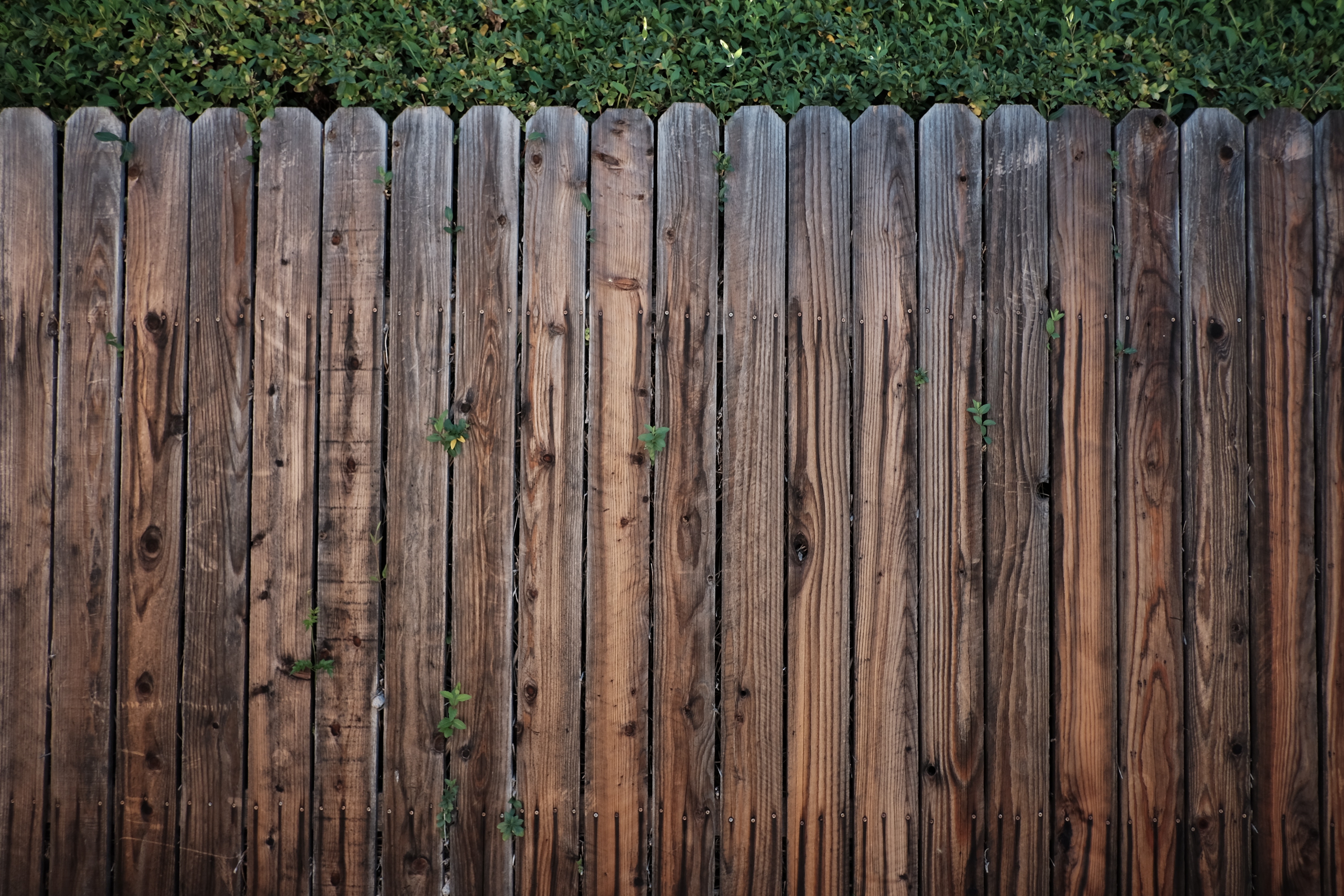 brown-wooden-fence-113726